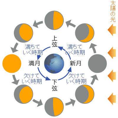 29日で運命の出会いを引き寄せる】～ライフスタイル編～ | 恋愛・占いのココロニプロロ