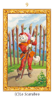 gallery_visual9