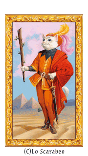 gallery_visual11