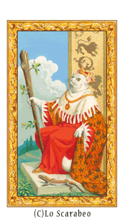 gallery_visual14