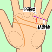 運でセレブ妻になりたいなら 左手をチェック あなたにもある 玉の輿のサイン 恋占ニュース 恋愛 占いのココロニプロロ