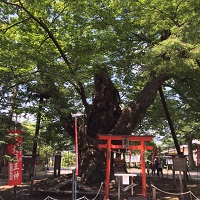 鈴木蘭々の開運旅行術