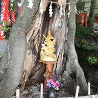 鈴木蘭々の開運旅行術