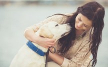 news_2203