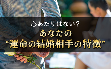 honkaku_tamako02_eyecatch