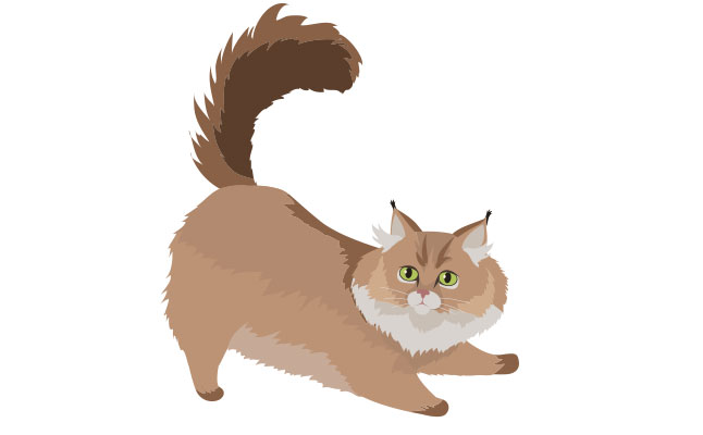 12星座別「猫ポーズ」占い!もしもあなたが猫なら恋はこうなる