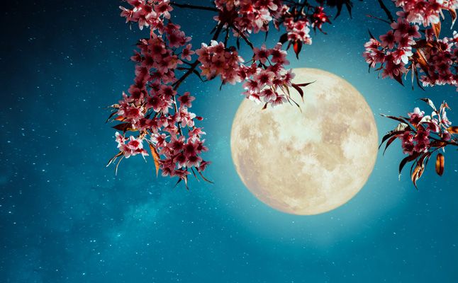新月満月からのメッセージ　天秤座の満月