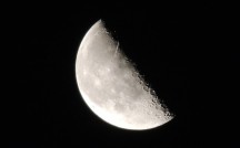 獅子座は元カレと再会の可能性！8月23日「下弦の月」月星座別メッセージ